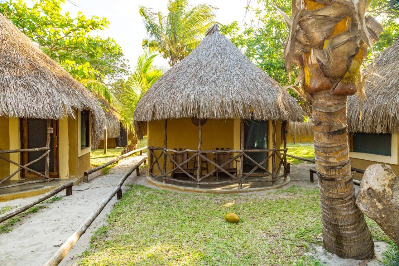 ホテル Manico Camp インハカ エクステリア 写真